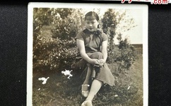 家有三个媳妇陈淑蓉婆媳关系解析